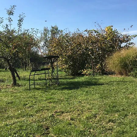Apartament Mala Oaza *